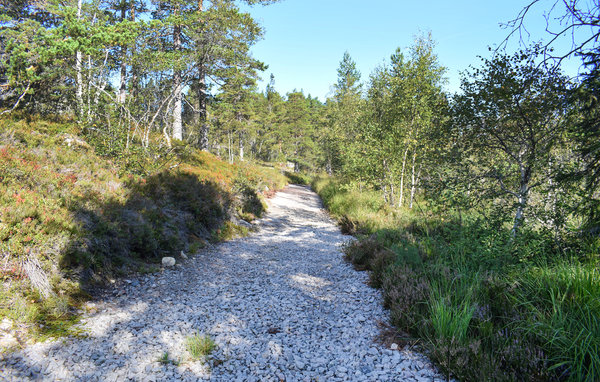 Feriehus - Gautefall/Øverlandsheia , Norge - N35458 901