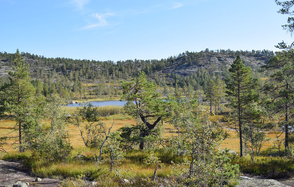 Feriehus - Gautefall/Øverlandsheia , Norge - N35458 902