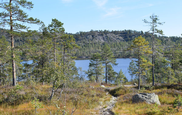 Feriehus - Gautefall/Øverlandsheia , Norge - N35458 903