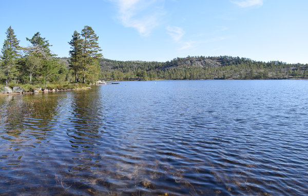 Feriehus - Gautefall/Øverlandsheia , Norge - N35458 904