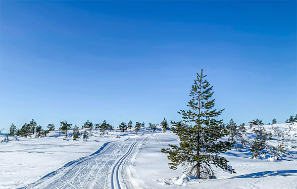 Feriehus - Gautefall/Øverlandsheia , Norge - N35458 907