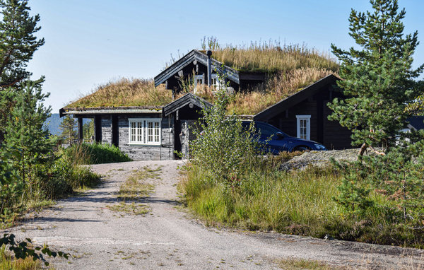 Foto: Gautefall, Øverlandsheia - Berggebied