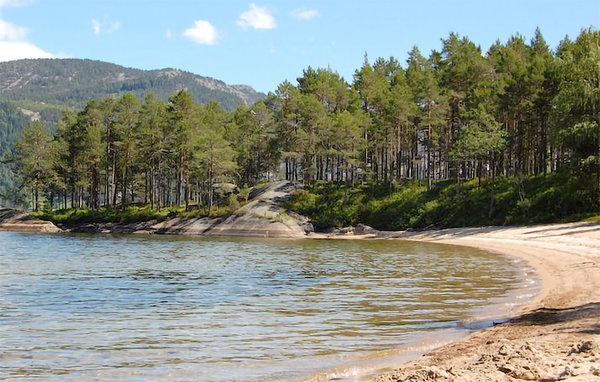 Feriehus - Nissedal/Kyrkjebygdeheia , Norge - N35517 9