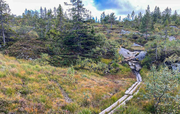 Feriehus - Nissedal/Kyrkjebygdeheia , Norge - N35517 901