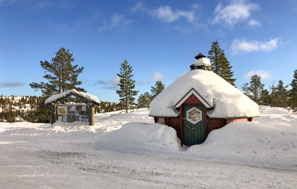 Feriehus - Nissedal/Kyrkjebygdeheia , Norge - N35517 902
