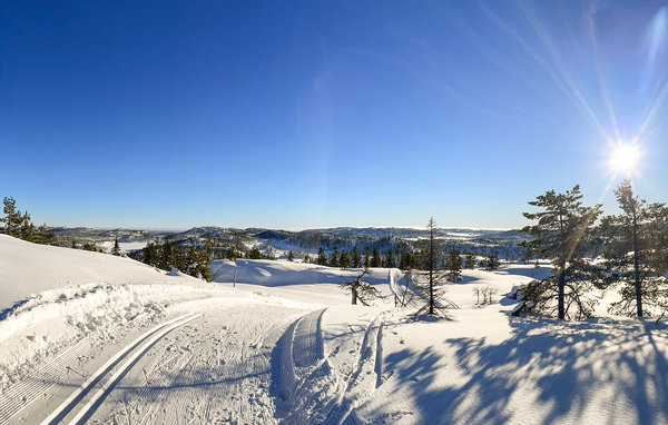 Feriehus - Nissedal/Kyrkjebygdeheia , Norge - N35517 904