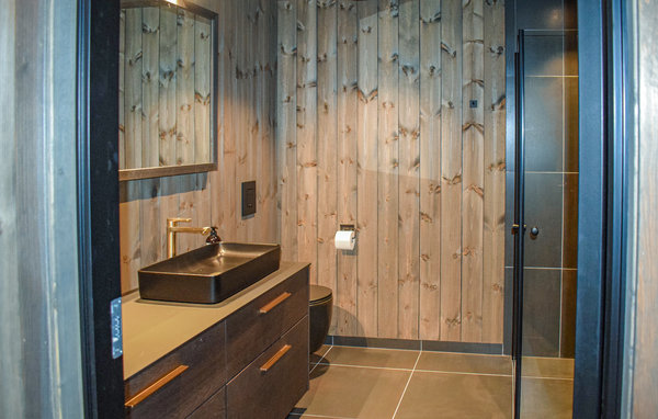 Casa vacanze - Rauland/Holtardalen , Norvegia - N35521 701