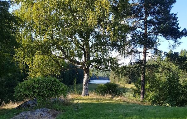 Ferienhaus - Drangedal , Norwegen - N35524 101