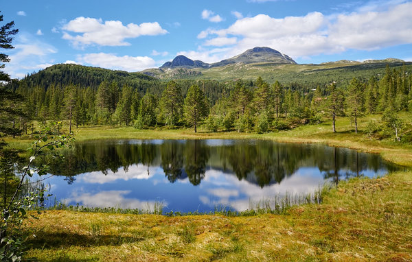 Casa de vacaciones - Tuddal , Noruega - N35539 904
