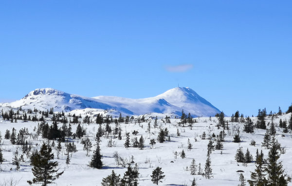 Casa de vacaciones - Tuddal , Noruega - N35539 908