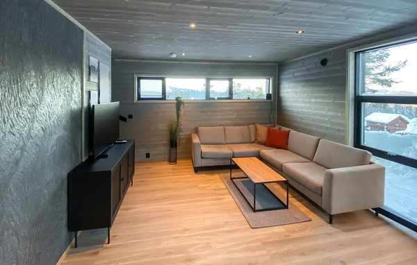Ferienhaus - Rauland , Norwegen - N35552 4