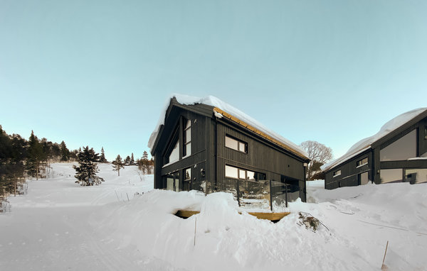 Ferienhaus - Rauland , Norwegen - N35552 82