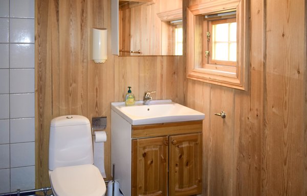 Ferienwohnung - Rauland , Norwegen - N35566 701