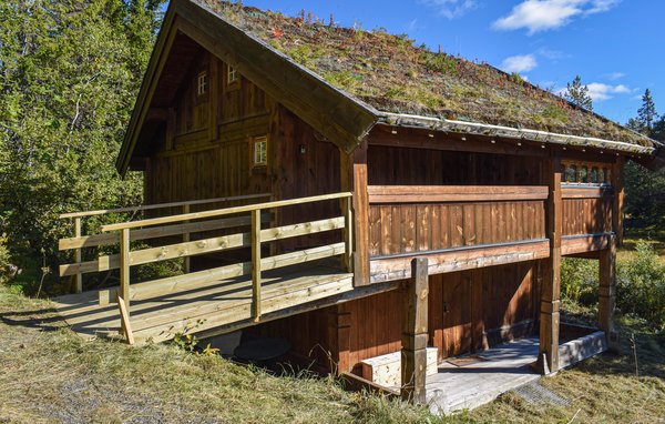 Ferienwohnung - Rauland , Norwegen - N35566 5