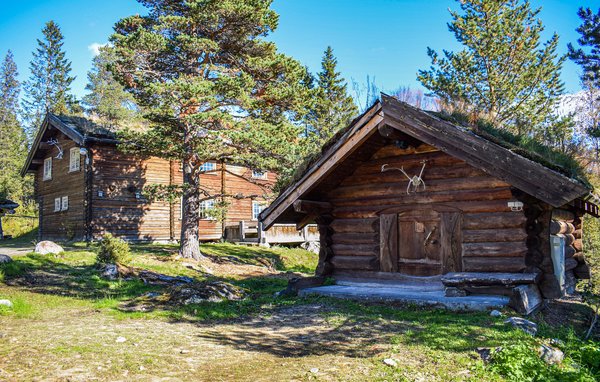 Ferienhaus - Rauland , Norwegen - N35568 8