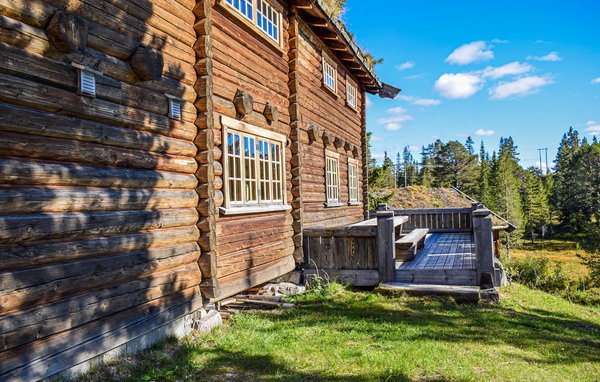 Ferienhaus - Rauland , Norwegen - N35568 9
