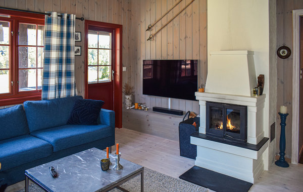 Ferienhaus - Rauland , Norwegen - N35621 3