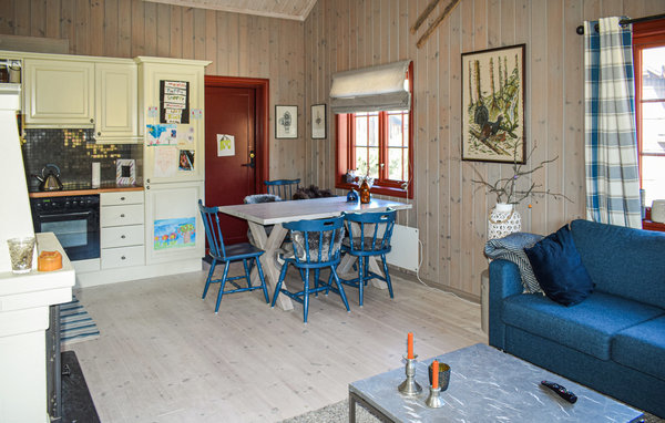 Ferienhaus - Rauland , Norwegen - N35621 4
