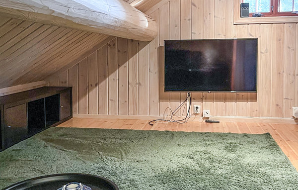 Ferienhaus - Rauland , Norwegen - N35621 302