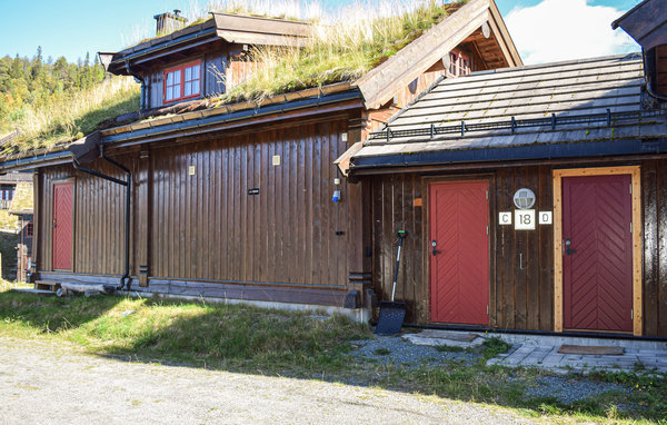 Ferienhaus - Rauland , Norwegen - N35621 82