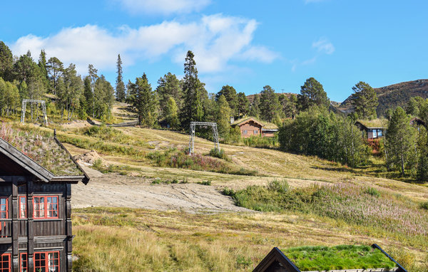 Ferienhaus - Rauland , Norwegen - N35621 201