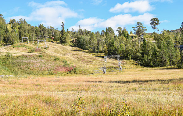 Ferienhaus - Rauland , Norwegen - N35621 202