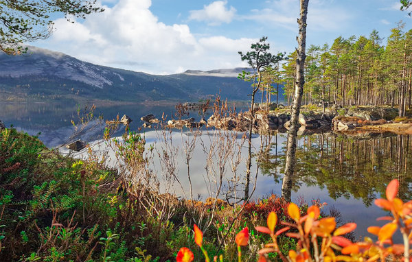 Ferienhaus - Telemark/Fyresdal , Norwegen - N35623 2