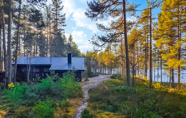 Ferienhaus - Telemark/Fyresdal , Norwegen - N35623 1