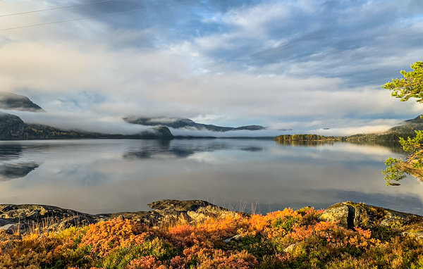 Feriehus - Nissedal , Norge - N35624 902