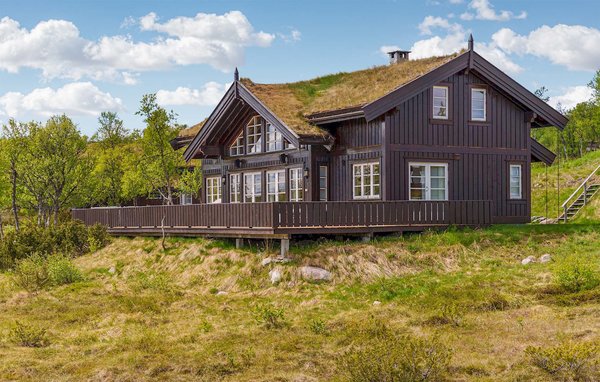 Holiday Home - Rauland , Norway - N35628 1