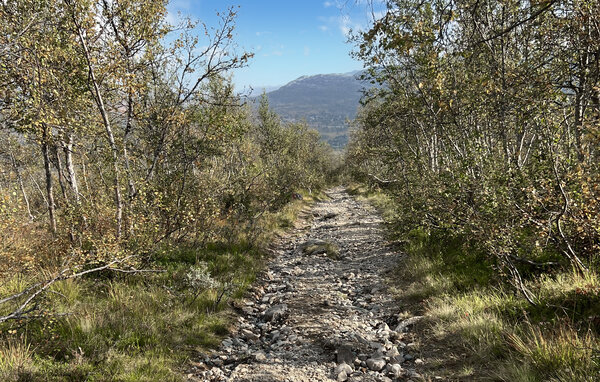 Feriehuse - Hovden , Norge - N35638 905