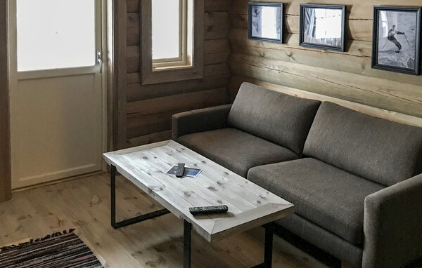 Feriehuse - Hovden , Norge - N35638 5