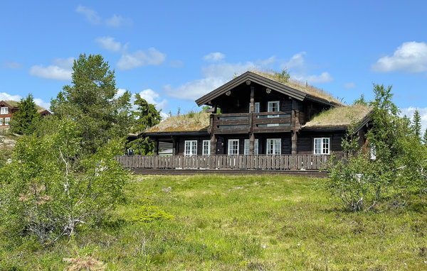 Holiday Home - Kyrkjebygdheiea/Nissedal , Norway - N35639 1