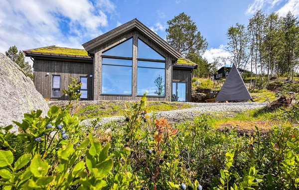 Feriehus - Haukelifjell , Norge - N35648 81