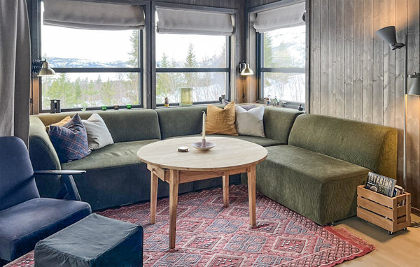 Casa vacanze - Rauland , Norvegia - N35659 3
