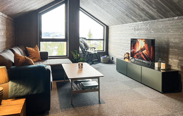 Casa vacanze - Rauland , Norvegia - N35659 4