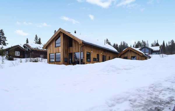 Holiday Home - Rauland , Norway - N35659 1