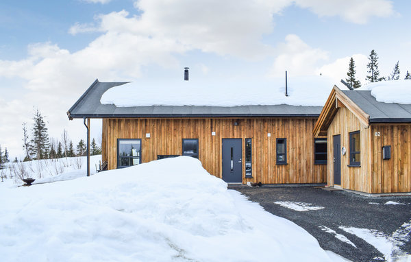 Casa vacanze - Rauland , Norvegia - N35659 81