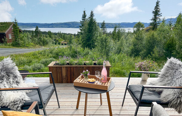 Casa vacanze - Rauland , Norvegia - N35659 101