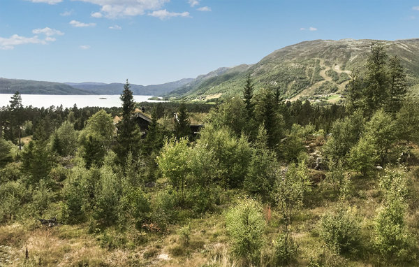Casa vacanze - Rauland , Norvegia - N35659 201