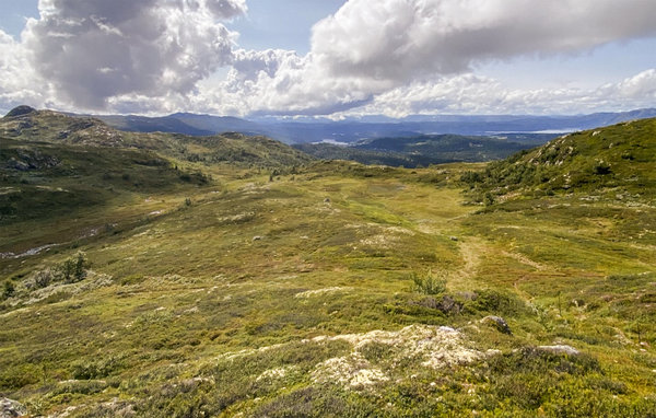 Feriehus - Rauland/Holtardalen , Norge - N35665 901