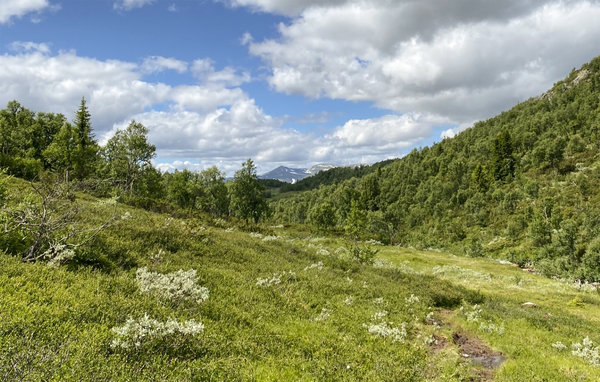 Feriehus - Rauland/Holtardalen , Norge - N35665 902