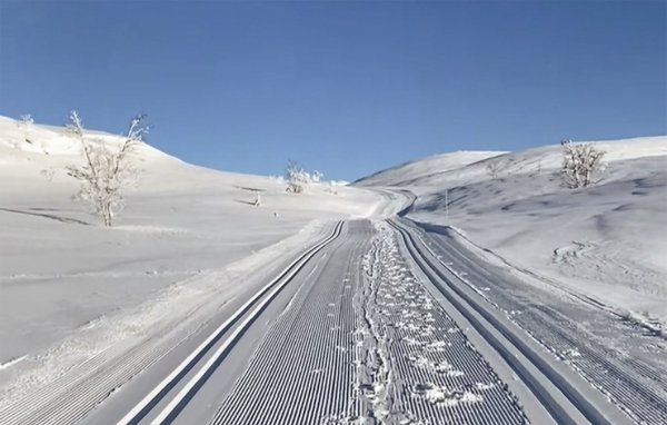 Feriehus - Rauland/Holtardalen , Norge - N35665 904