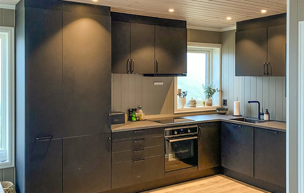 Feriehus - Rauland/Holtardalen , Norge - N35665 5