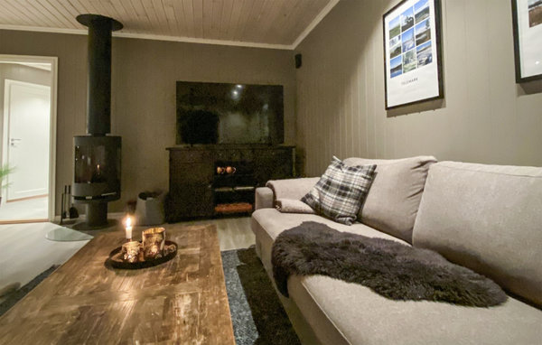 Feriehus - Rauland/Holtardalen , Norge - N35665 302