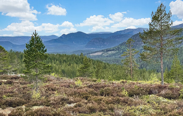Domy wakacyjne - Gautefall , Norwegia - N35669 902