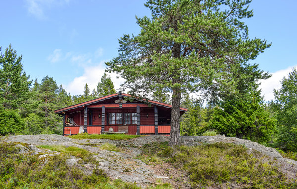 Ferienhaus - Kyrkjebygdheia/Nissedal , Norwegen - N35671 1
