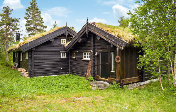 Casa vacanze - Rauland , Norvegia - N35675 81