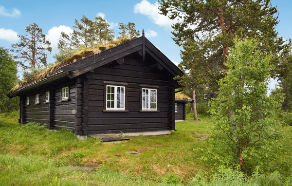 Casa vacanze - Rauland , Norvegia - N35675 82