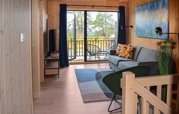 Feriehus - Holtardalen, Rauland , Norge - N35689 302